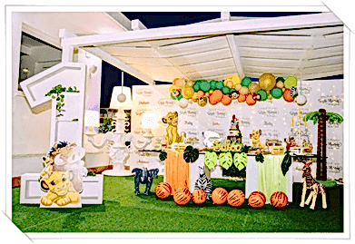 1 Yaş doğum Günü organizasyonu