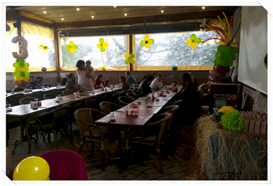 Doğum Günü kukla Gösterisi