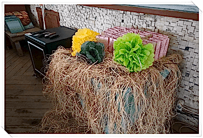 Doğum günü palyaço Kirala