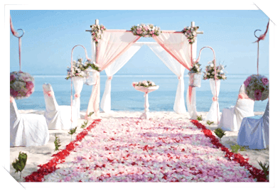 düğün organizasyonu düğün organizasyonu