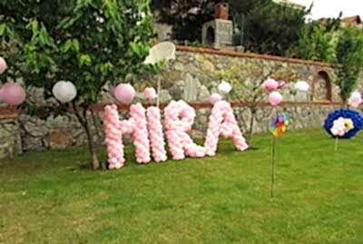 Davet Organizasyon Balon Süsleme Kapı Takı Papatya Balon Ayaklı Balon