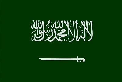 Profesyonel Seslendirme Hizmetleri 