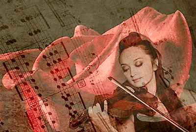 Sevgililer Günü Kemancı temini