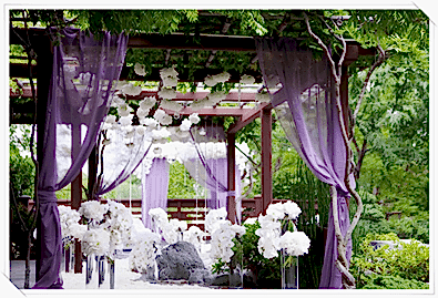 Kına Dekoru Kına KOstümü Bayan Dj