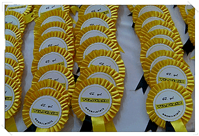 Kongre Seminer Organizasyonu