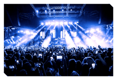 Konser ve Festival Organizasyonu