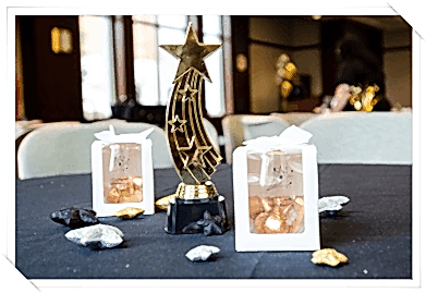 Ödül Töreni Organizasyonu