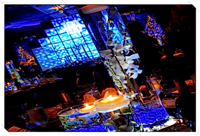 Ödül Töreni Organizasyonu