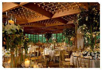 Ödül Töreni Organizasyonu