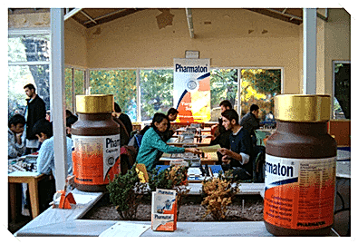 Road Show Turneler Organizasyonu Road Show Planlama Road Show Uygulama