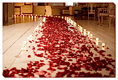 Sahilde Sürpriz Evlilik Teklifi Sahilde Sürpriz Evlilik Teklifi