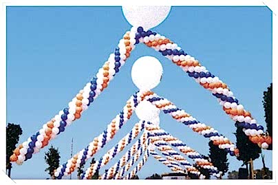 Temel Atma Organizasyonu