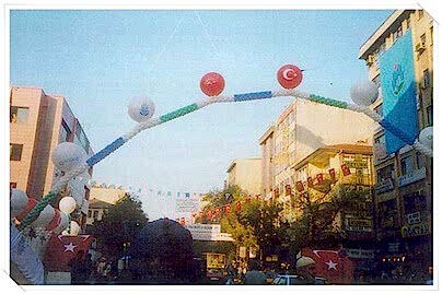 Temel Atma Organizasyonu